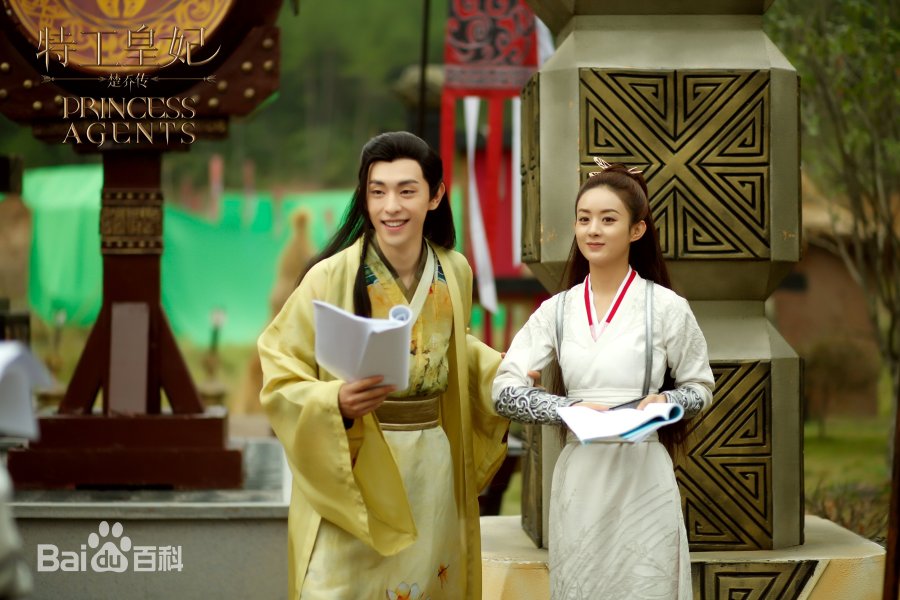 دانلود سریال چینی گماشتگان شاهدخت 2017 Princess Agents